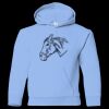 Youth Heavy Blend™ Hooded Sweatshirt Thumbnail