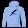 Youth Heavy Blend™ Hooded Sweatshirt Thumbnail