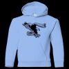 Youth Heavy Blend™ Hooded Sweatshirt Thumbnail