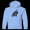 Youth Heavy Blend™ Hooded Sweatshirt Thumbnail