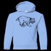 Youth Heavy Blend™ Hooded Sweatshirt Thumbnail