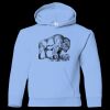 Youth Heavy Blend™ Hooded Sweatshirt Thumbnail