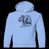 Youth Heavy Blend™ Hooded Sweatshirt Thumbnail