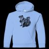 Youth Heavy Blend™ Hooded Sweatshirt Thumbnail