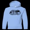Youth Heavy Blend™ Hooded Sweatshirt Thumbnail
