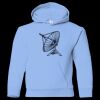Youth Heavy Blend™ Hooded Sweatshirt Thumbnail