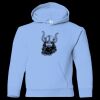 Youth Heavy Blend™ Hooded Sweatshirt Thumbnail
