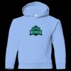 Youth Heavy Blend™ Hooded Sweatshirt Thumbnail