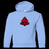 Youth Heavy Blend™ Hooded Sweatshirt Thumbnail