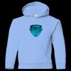 Youth Heavy Blend™ Hooded Sweatshirt Thumbnail